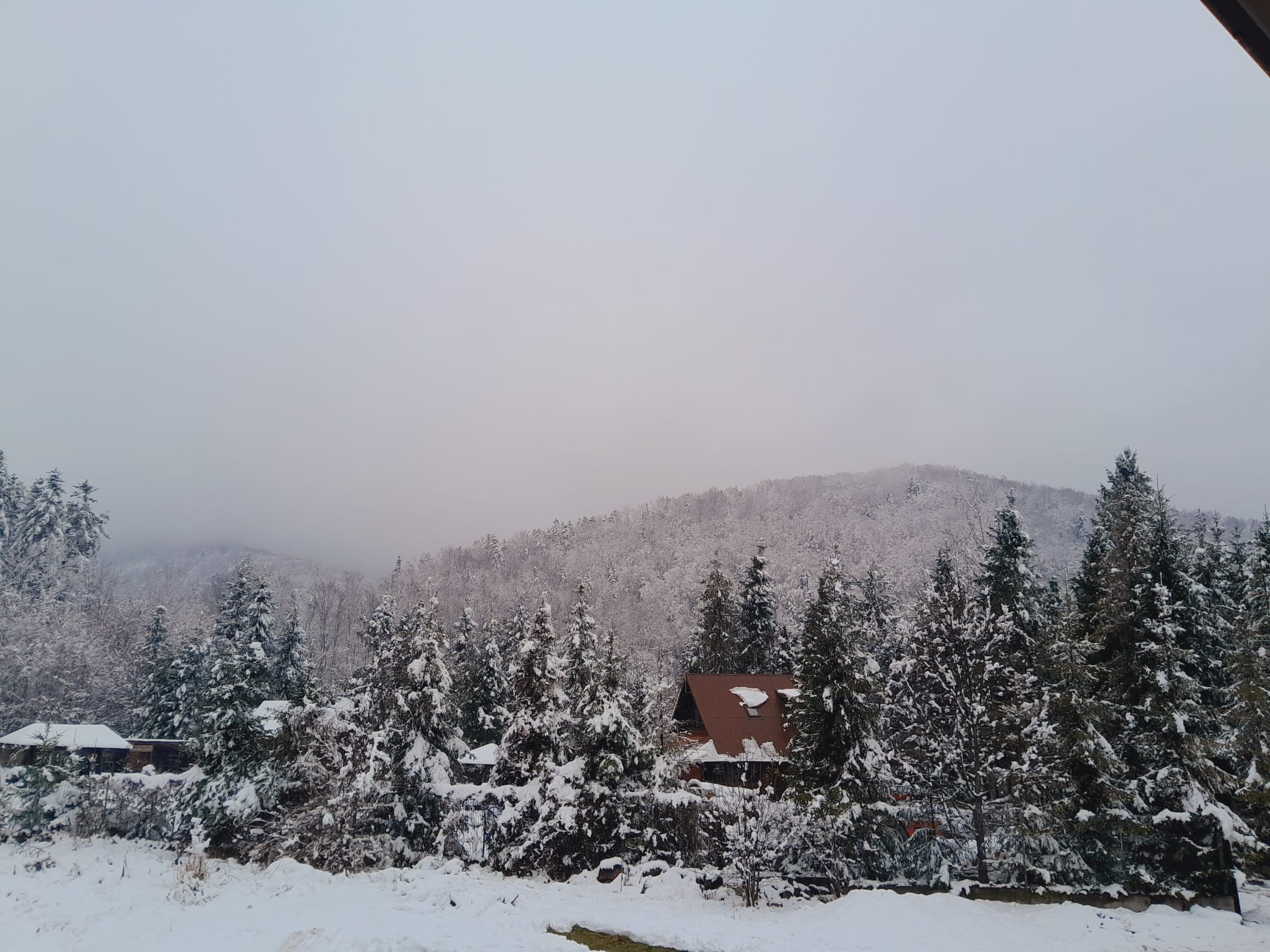 cabana-de-inchiriat-panorama-2
